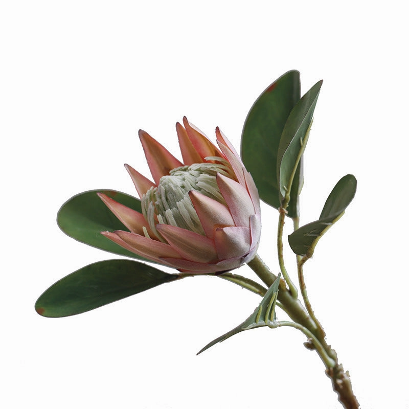 King Protea Artificial Flowers Stem PROTEA0001-0003