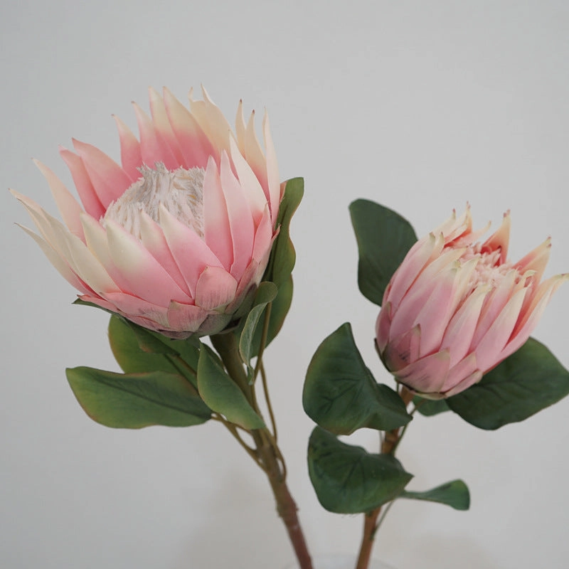 King Protea Artificial Silk Flower 73cm Stem PROTEA006-008