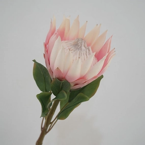 King Protea Artificial Silk Flower 73cm Stem PROTEA006-008,dried artificial flower