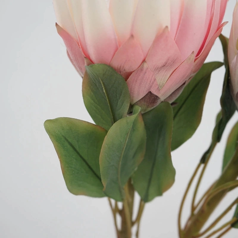 King Protea Artificial Silk Flower 73cm Stem PROTEA006-008