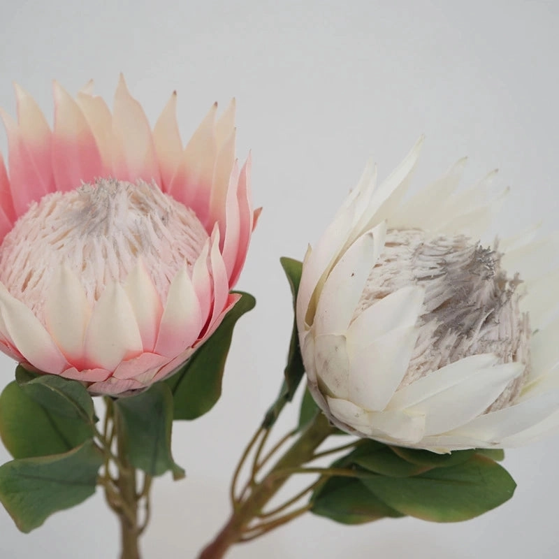 King Protea Artificial Silk Flower 73cm Stem PROTEA006-008