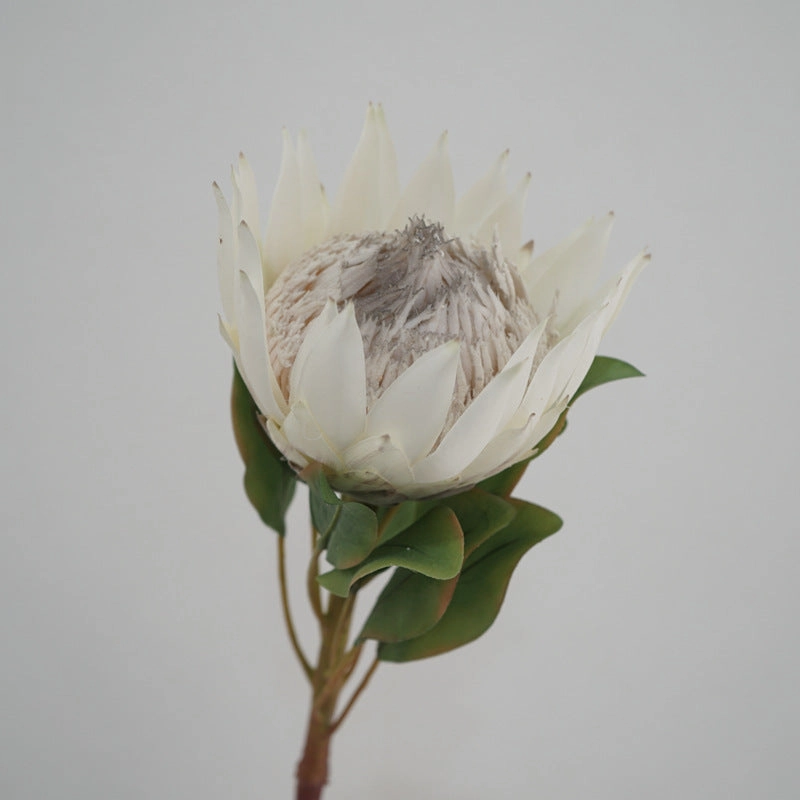 King Protea Artificial Silk Flower 73cm Stem PROTEA006-008