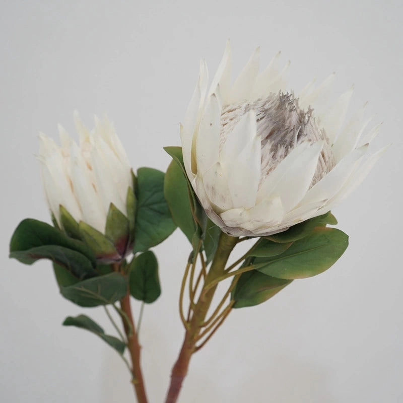 King Protea Artificial Silk Flower 73cm Stem PROTEA006-008