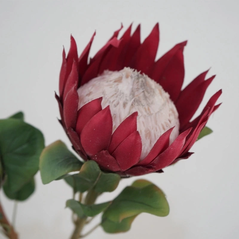 King Protea Artificial Silk Flower 73cm Stem PROTEA006-008