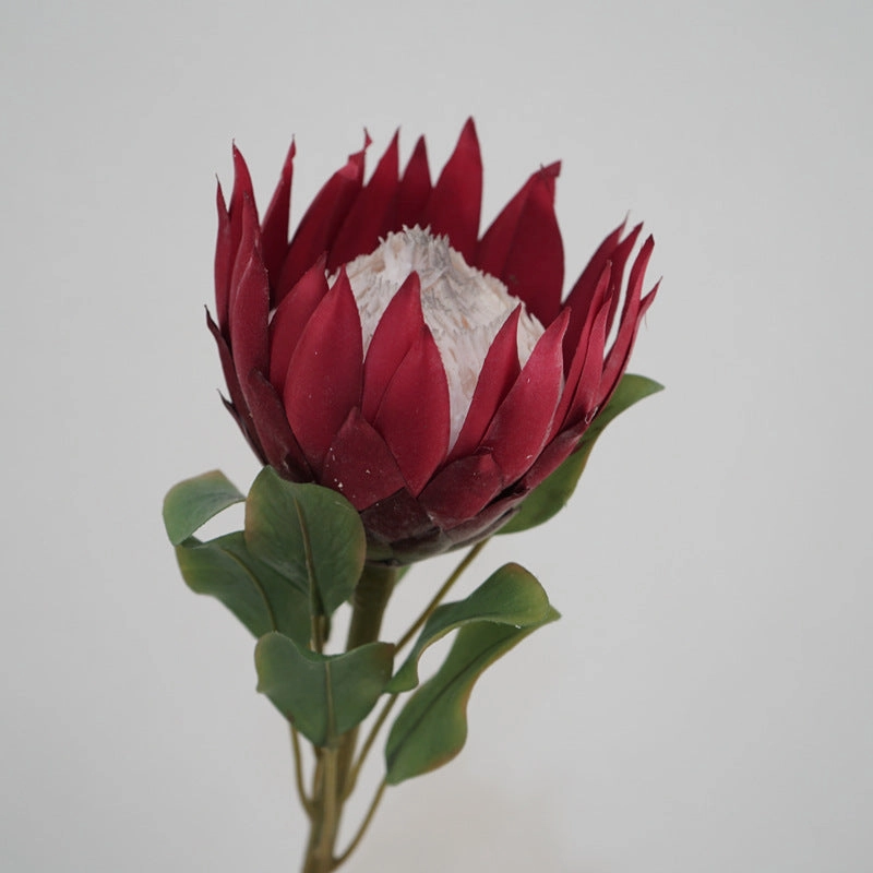 King Protea Artificial Silk Flower 73cm Stem PROTEA006-008
