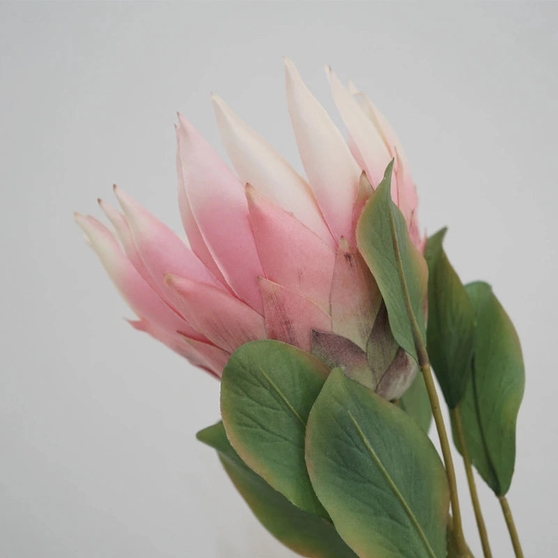King Protea Artificial Silk Flower 73cm Stem PROTEA006-008