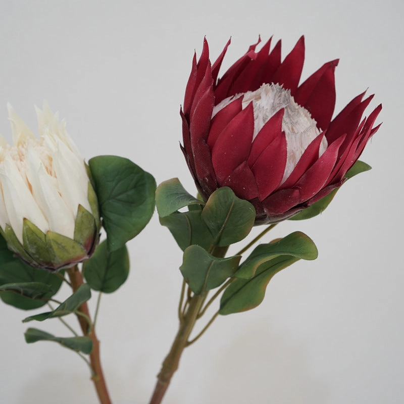 King Protea Artificial Silk Flower 73cm Stem PROTEA006-008