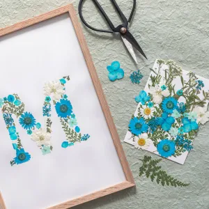 Kit DIY herbier abcdaire bleu,artificial single flower