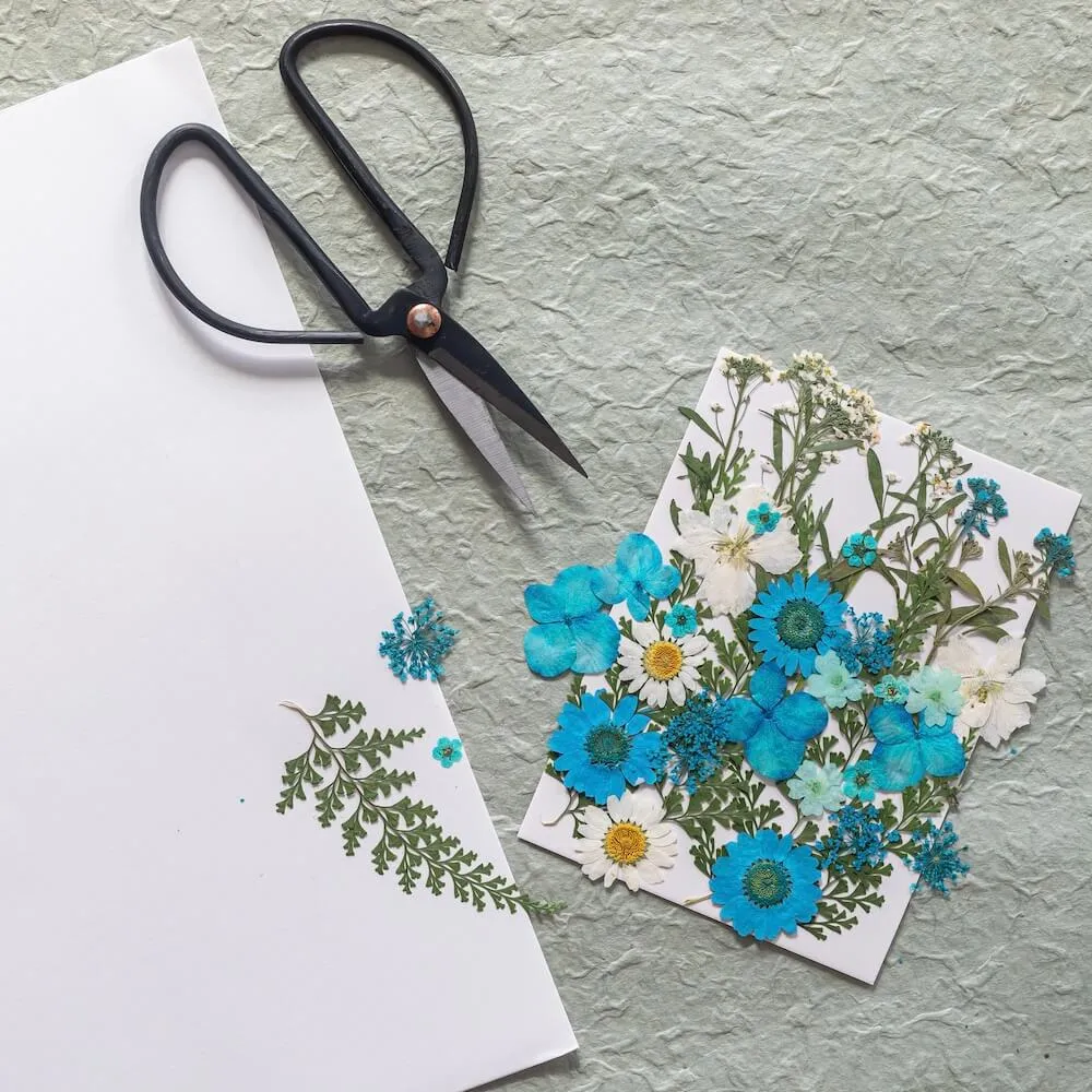 Kit DIY herbier abcdaire bleu