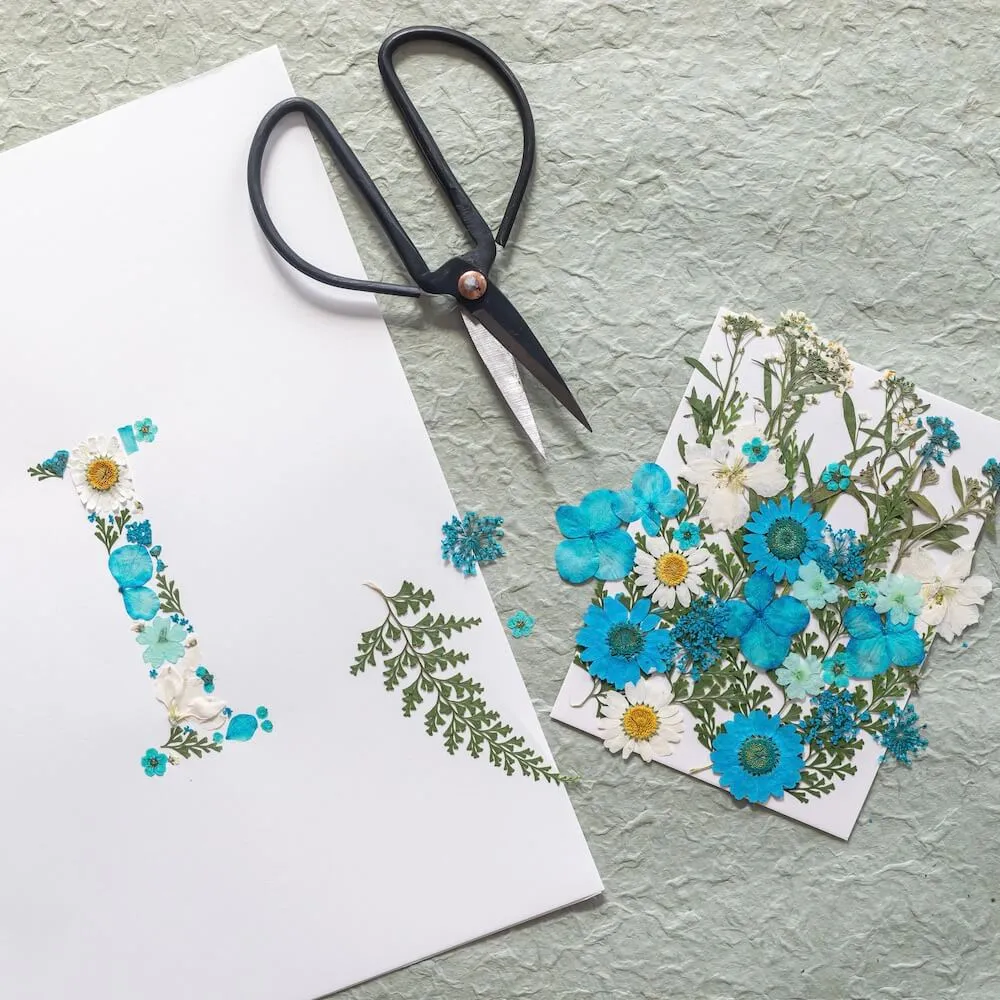 Kit DIY herbier abcdaire bleu