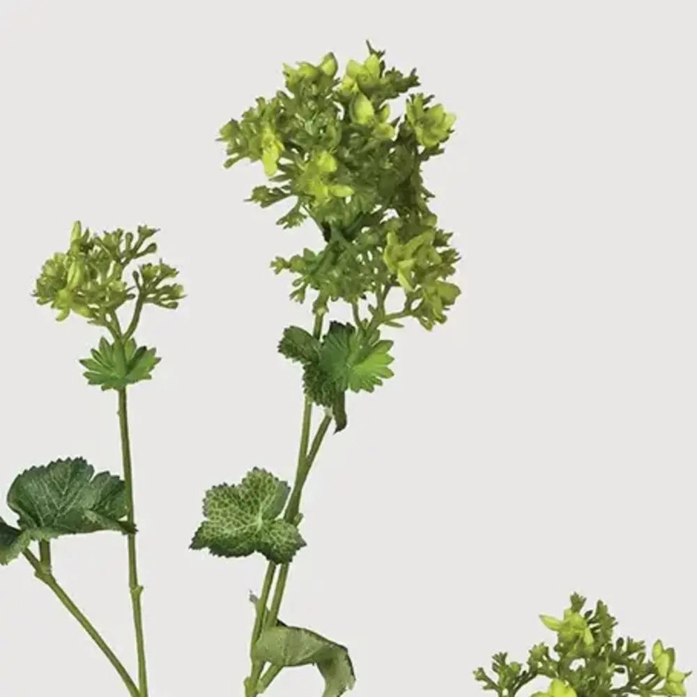 Lady's Mantle Spray with Leaves 72cm