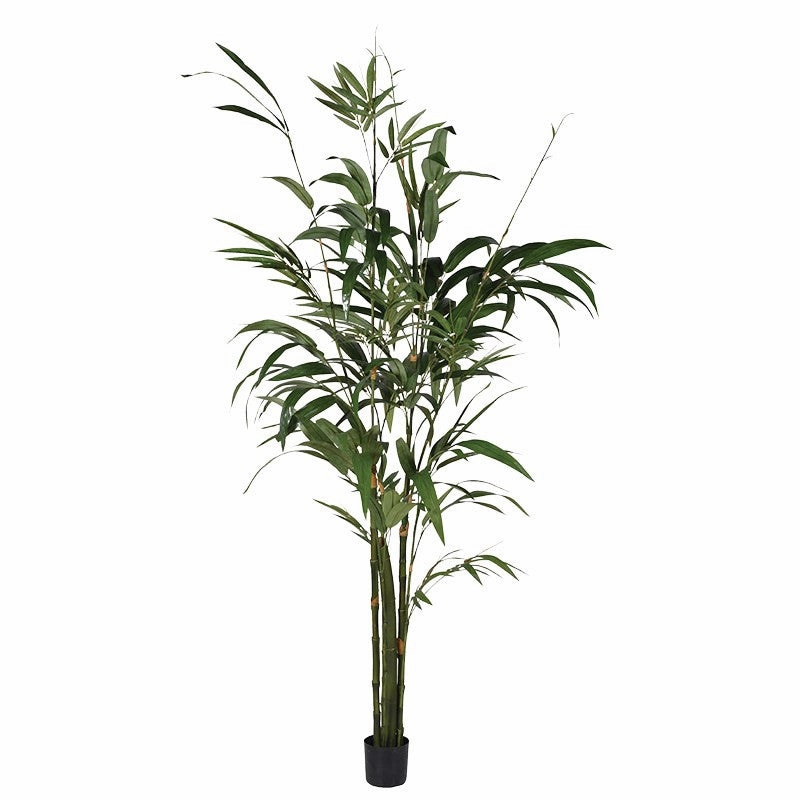 Large Green Bamboo Palm Tree In Small Black Plastic Pot,dried artificial flower