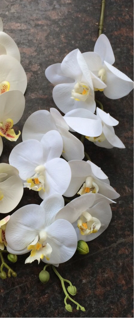 LARGE REAL TOUCH PHALAENOPSIS ORCHID ARTIFICIAL FLOWER WHITE WEDDING FLOWER (white) -REA1