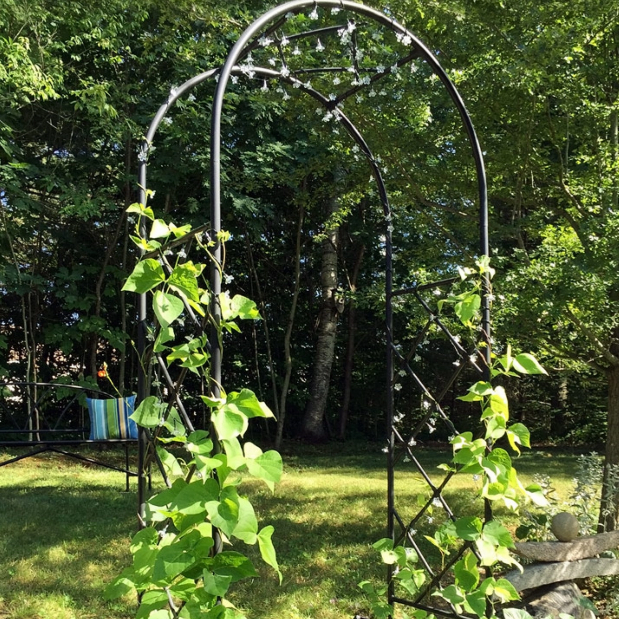 Lattice Garden Arbor
