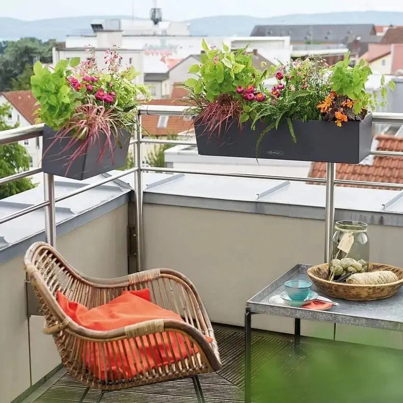 Lechuza BALCONERA Color 80