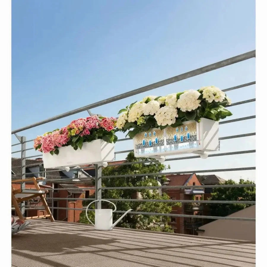 Lechuza BALCONERA Color 80