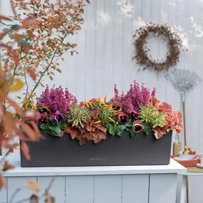 Lechuza BALCONERA Color 80,flowerpot set decor