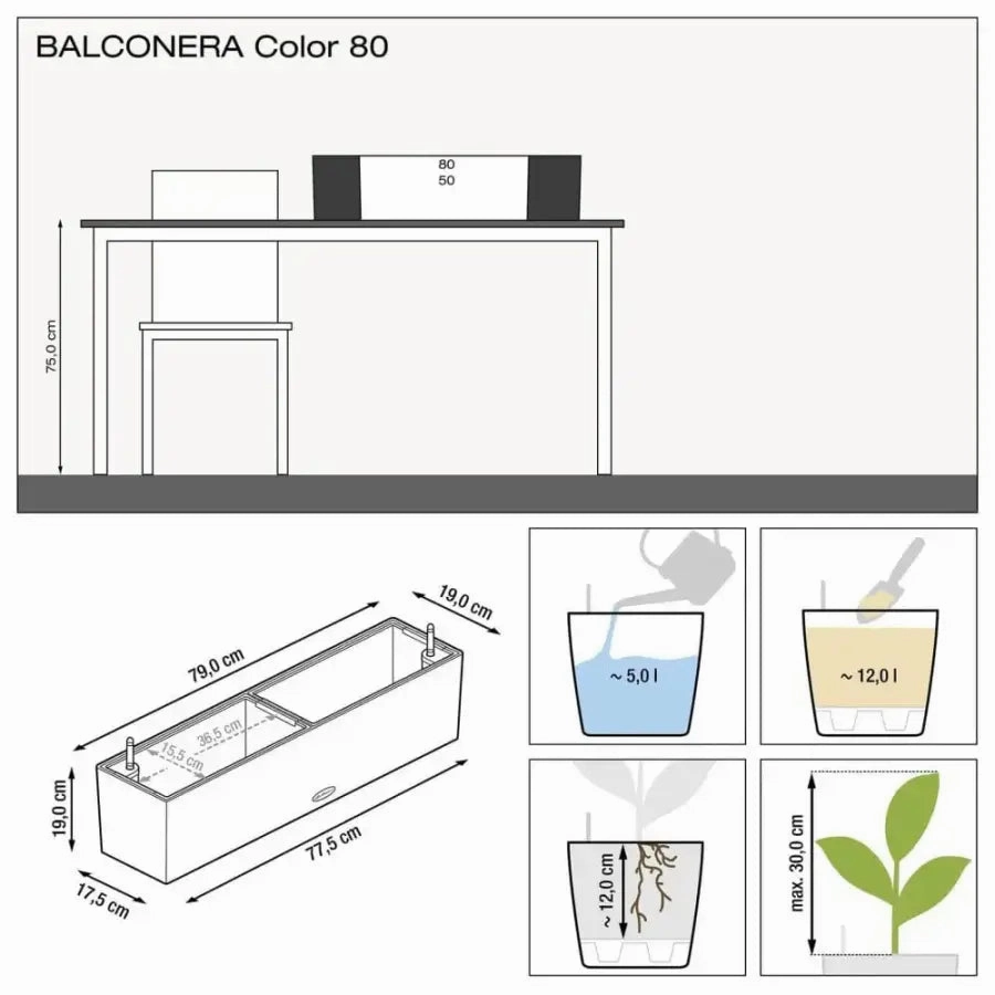 Lechuza BALCONERA Color 80