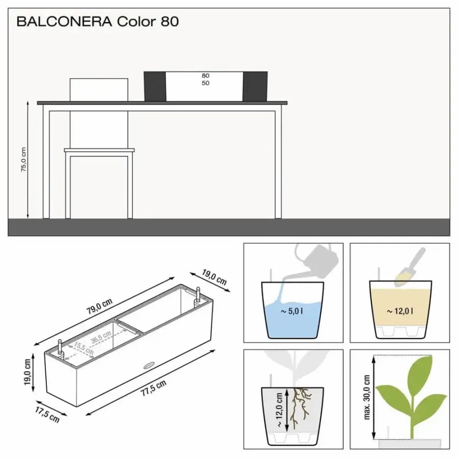 Lechuza BALCONERA Color 80