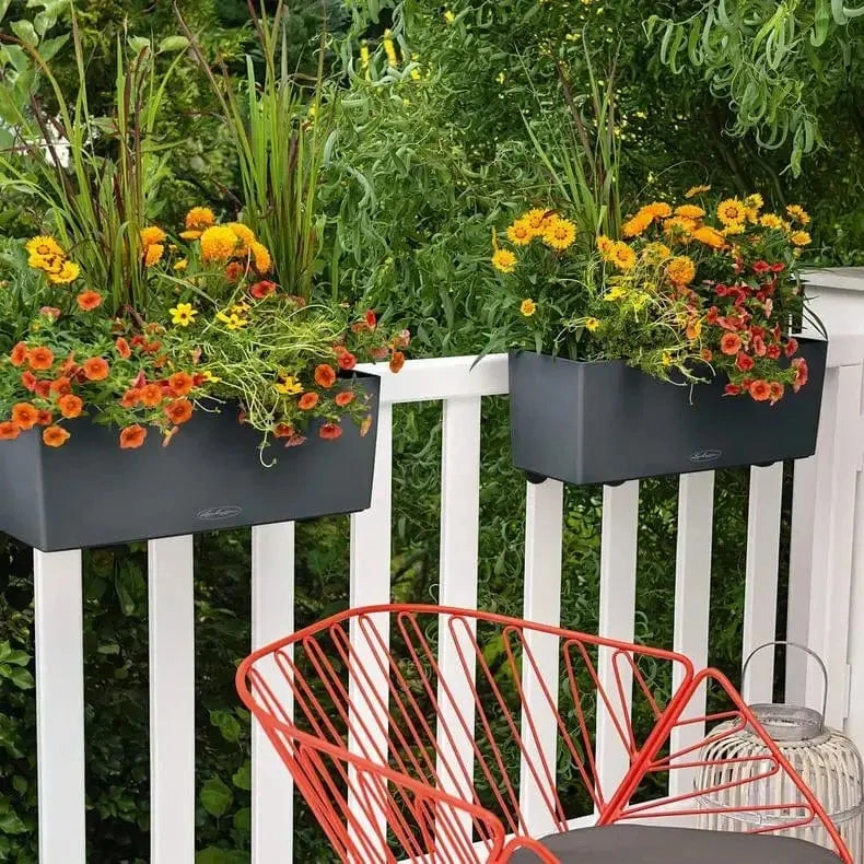 Lechuza BALCONERA Colour 50