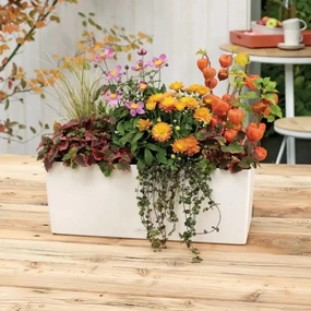 Lechuza BALCONERA Colour 50,outdoor garden pot