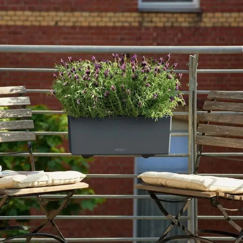 Lechuza BALCONERA Colour 50