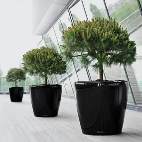 Lechuza CLASSICO 70 Premium (planter only),outdoor garden pot