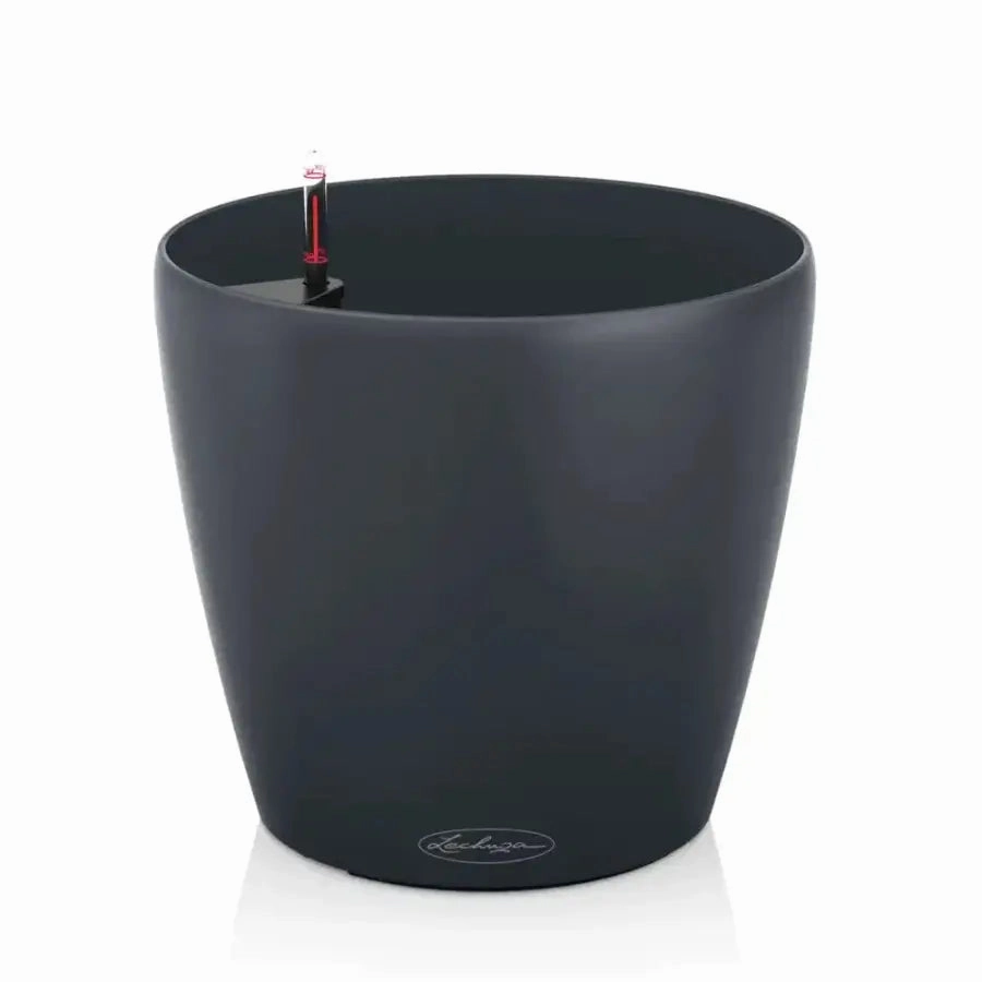 Lechuza CLASSICO Color 18