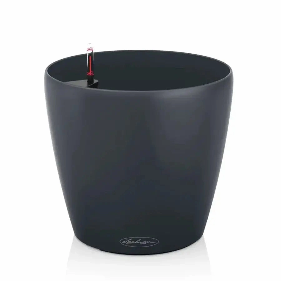 Lechuza CLASSICO Color 18