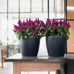 Lechuza CLASSICO Color 18,outdoor garden pot