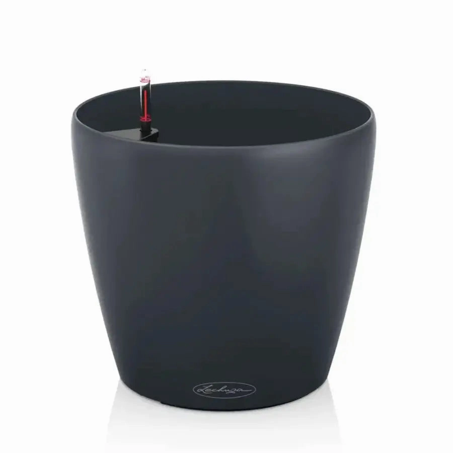 Lechuza CLASSICO Color 28