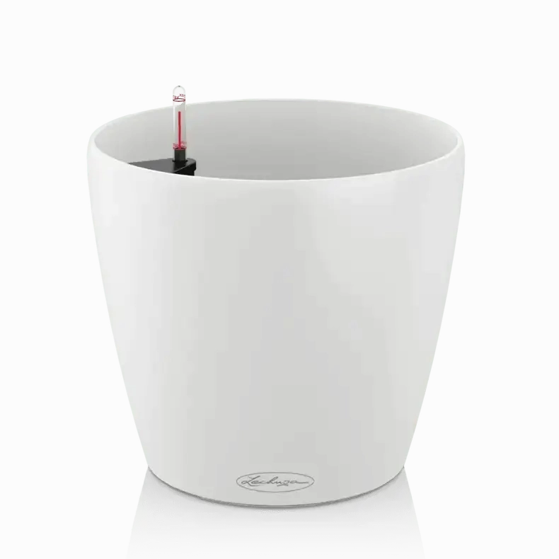 Lechuza CLASSICO Color 28