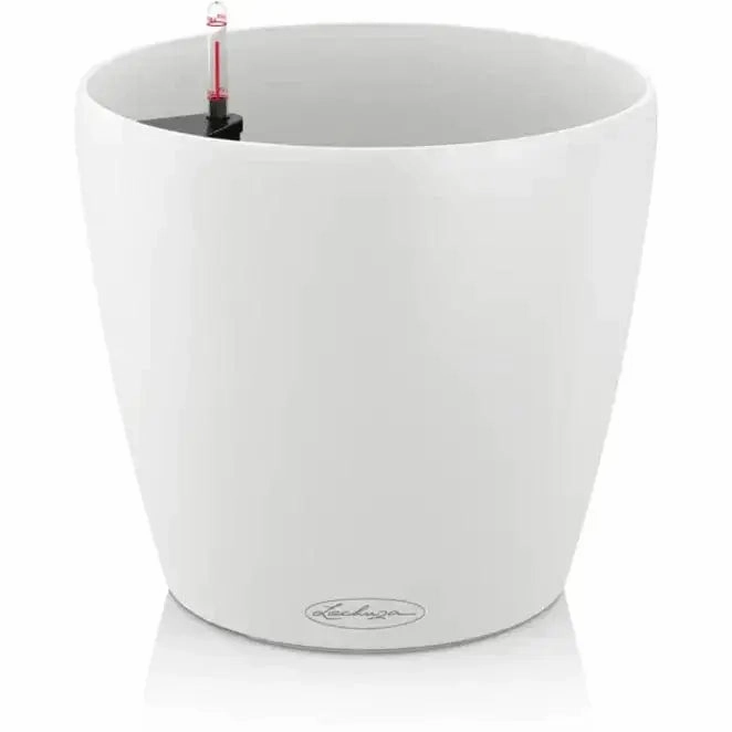 Lechuza CLASSICO Colour 21