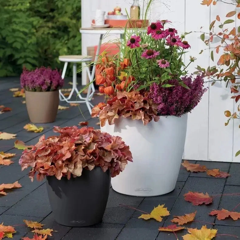 Lechuza CLASSICO Colour 21,flowerpot set decor