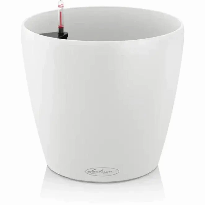 Lechuza CLASSICO Colour 21