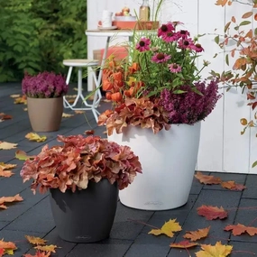 Lechuza CLASSICO Colour 21,flowerpot set decor