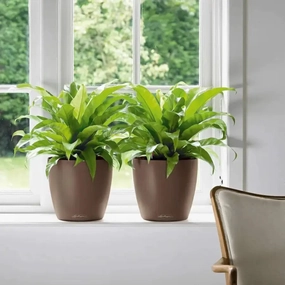 Lechuza CLASSICO Colour 35,flowerpot set decor