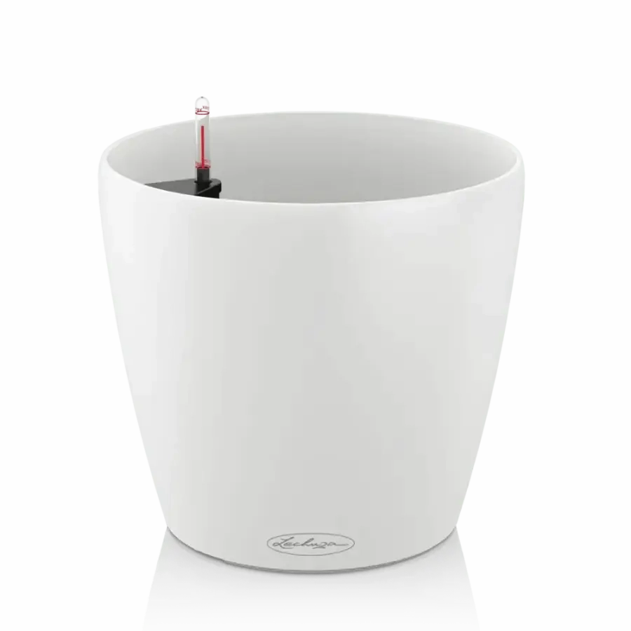 Lechuza CLASSICO Colour 35