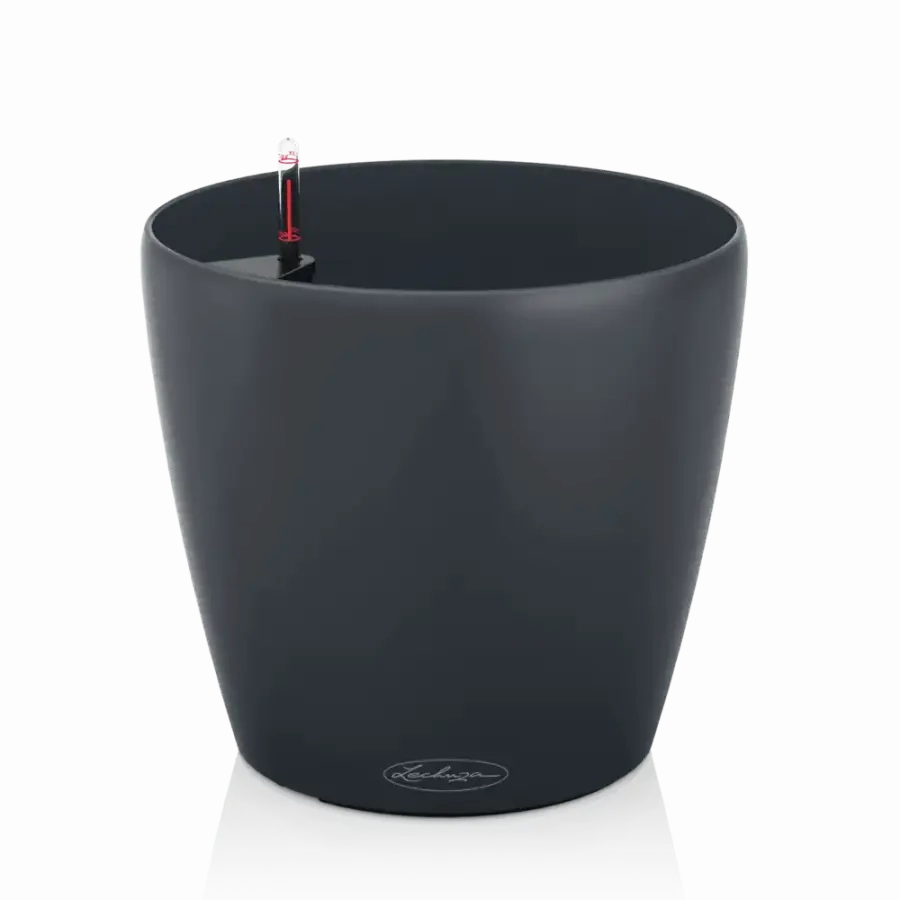 Lechuza CLASSICO Colour 35