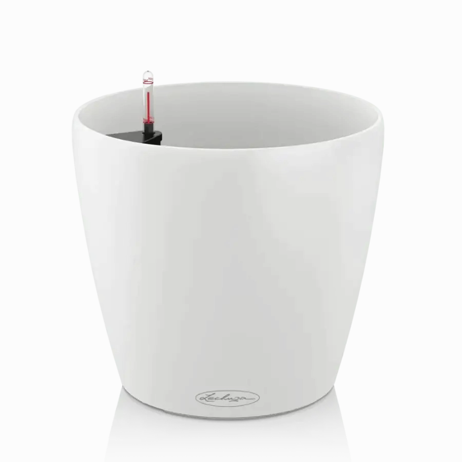 Lechuza CLASSICO Colour 35