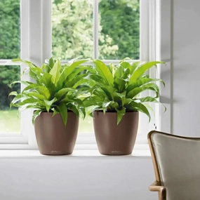 Lechuza CLASSICO Colour 35,outdoor garden pot