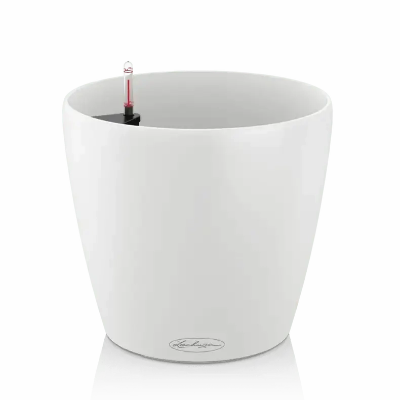 Lechuza CLASSICO Colour 43