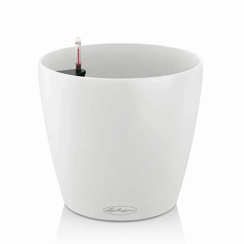 Lechuza CLASSICO Colour 43