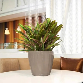 Lechuza CLASSICO LS 28 Premium,flowerpot set decor