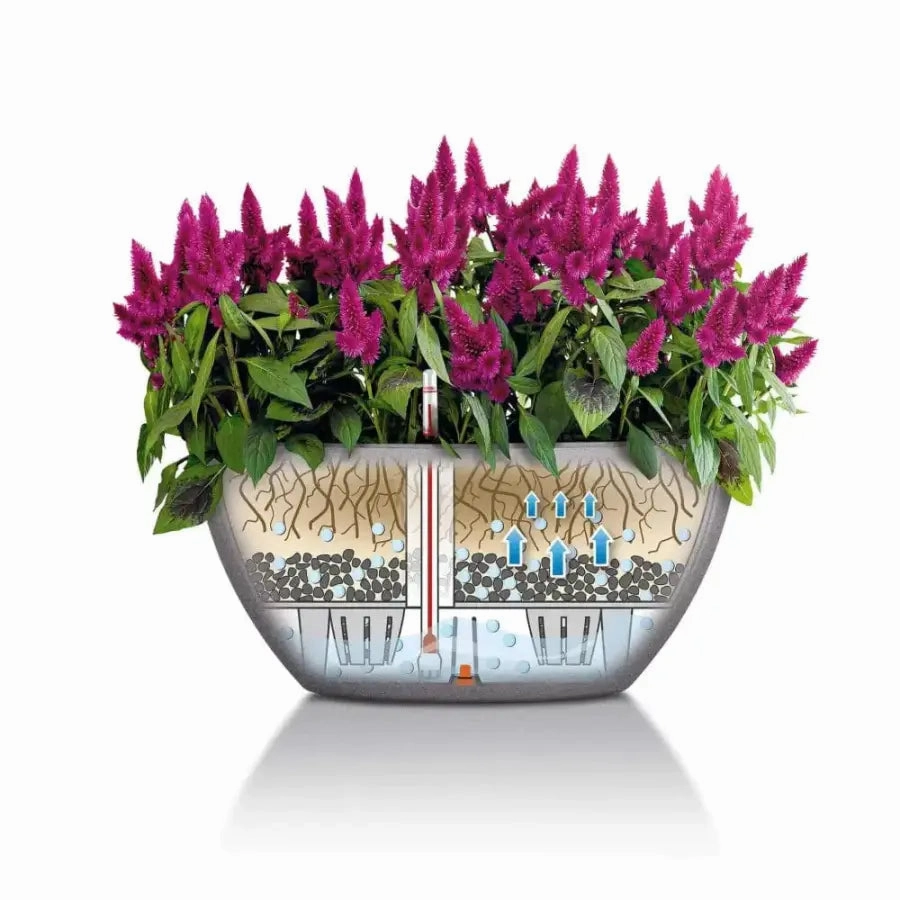Lechuza CUBETO Stone 40 Bowl