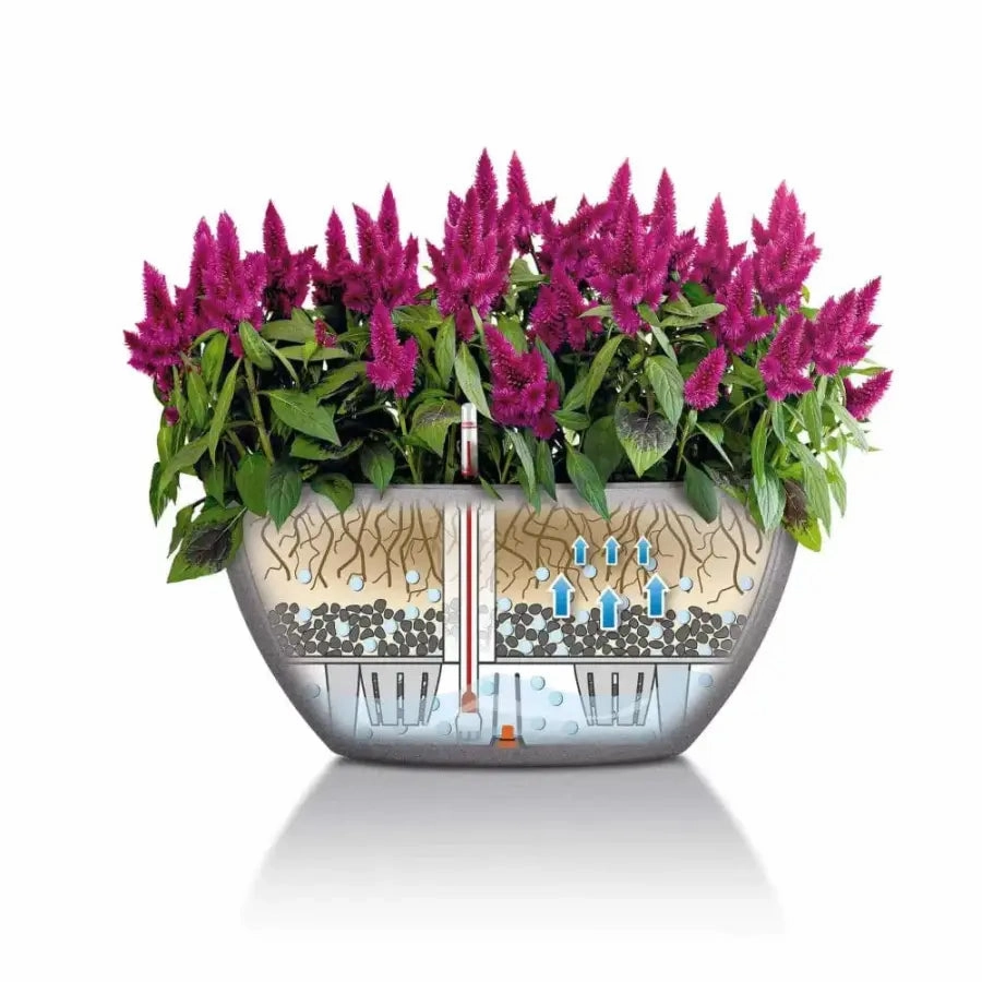 Lechuza CUBETO Stone 40 Bowl