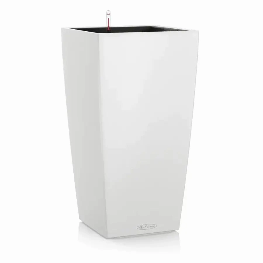 Lechuza CUBICO Color 30