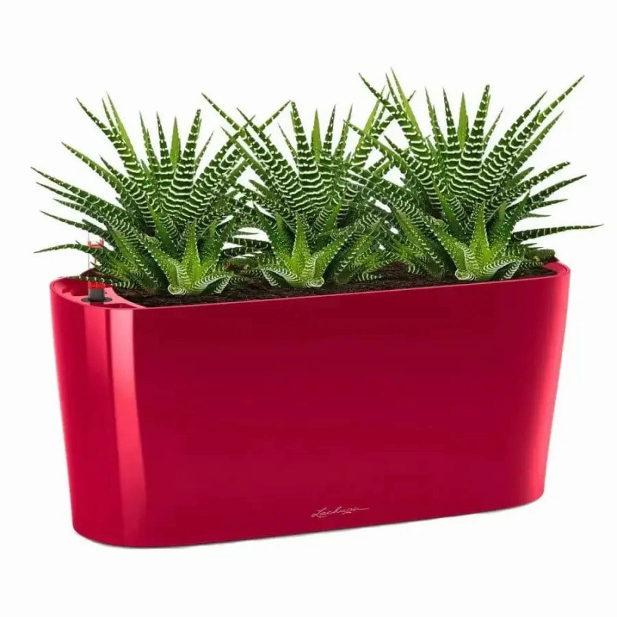 Lechuza DELTA 20,flowerpot set decor