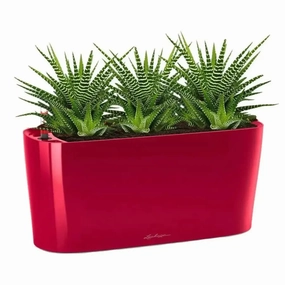 Lechuza DELTA 20,flowerpot set decor