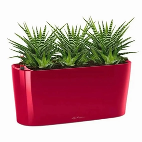 Lechuza DELTA 20,outdoor garden pot